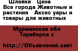 Шлейки › Цена ­ 800 - Все города Животные и растения » Аксесcуары и товары для животных   . Мурманская обл.,Териберка с.